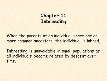 Chapter 11 Inbreeding When the parents of an individual share one or more common ancestors, the individual is inbred. Inbreeding is unavoidable in small.