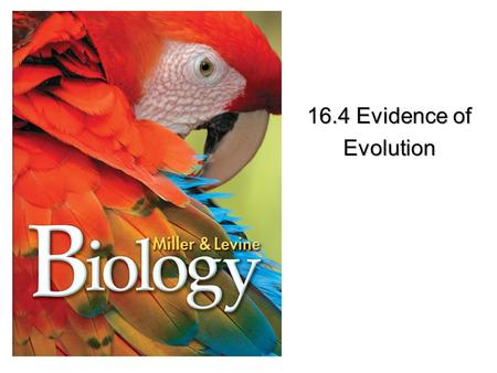 16.4 Evidence of Evolution.