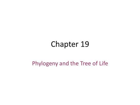 Chapter 19 Phylogeny and the Tree of Life. Fig. 26-1 why isn't it a snake? -no fused eyelid -no highly mobile jaw -no short tail some lizerds have lost.