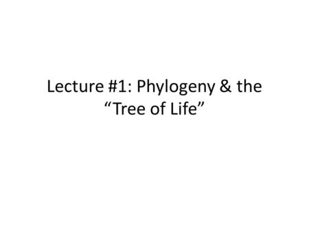 Lecture #1: Phylogeny & the “Tree of Life”. Phylogeny how do biologists classify and categorize species? by understanding evolutionary relationships evolutionary.