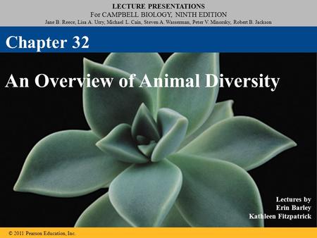 An Overview of Animal Diversity