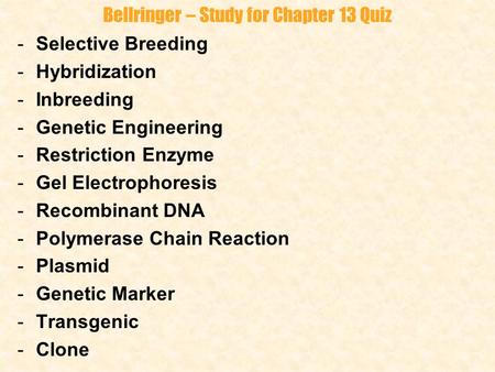 Bellringer – Study for Chapter 13 Quiz -Selective Breeding -Hybridization -Inbreeding -Genetic Engineering -Restriction Enzyme -Gel Electrophoresis -Recombinant.