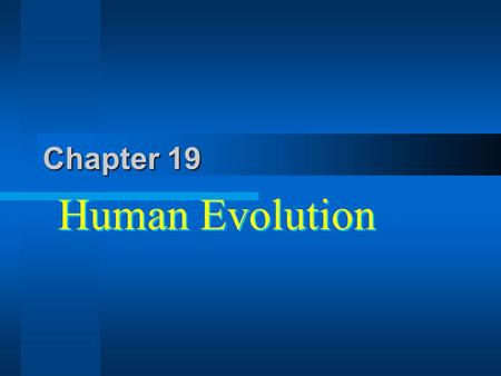 Chapter 19 Human Evolution. On the Origin of The Species Sold out in 1 day, had only a small section on the origin of man. 12 years later The descent.