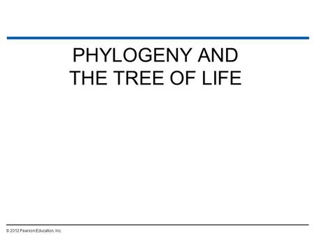 PHYLOGENY AND THE TREE OF LIFE