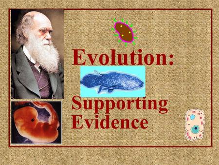 Evolution: Supporting Evidence.