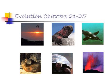 Evolution Chapters 21-25.