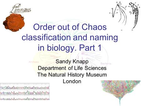 Order out of Chaos classification and naming in biology. Part 1 Sandy Knapp Department of Life Sciences The Natural History Museum London.