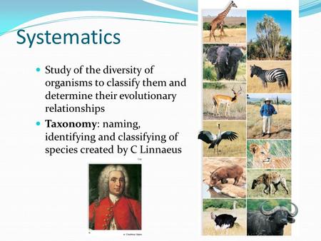 Systematics Study of the diversity of organisms to classify them and determine their evolutionary relationships Taxonomy: naming, identifying and classifying.