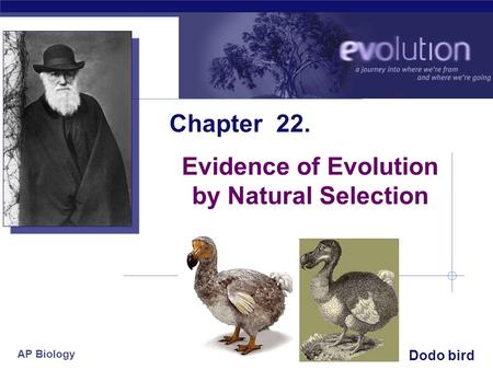 AP Biology 2005-2006 Chapter 22. Evidence of Evolution by Natural Selection Dodo bird.