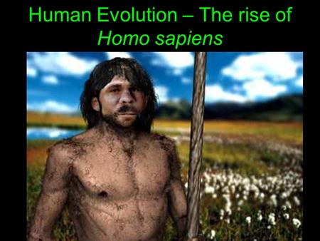 Human Evolution – The rise of Homo sapiens Where to Begin? Right Now! The genetic analysis shown indicates that human ancestors migrated out of Africa.