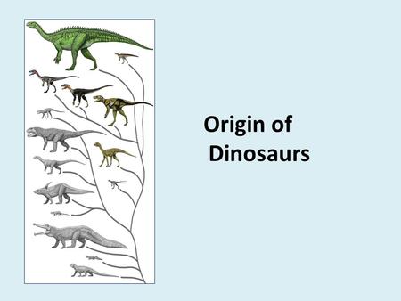Origin of Dinosaurs.