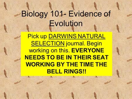 Biology 101- Evidence of Evolution