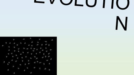 E V O L U T I O N. SPECIATION : the development of a new species Sometimes the variation among organisms is too great; eventually they could become separate.