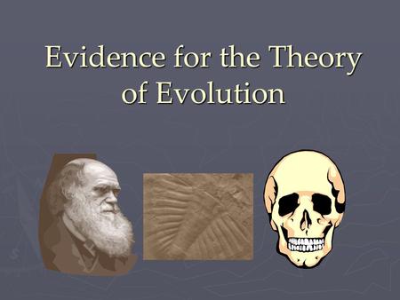 Evidence for the Theory of Evolution. A Common Ancestor… ► The theory of evolution suggests that animals have a common ancestor. There are five pieces.
