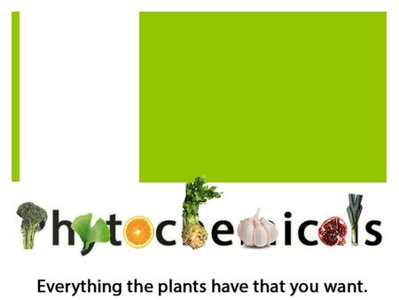 What Are Phytochemicals