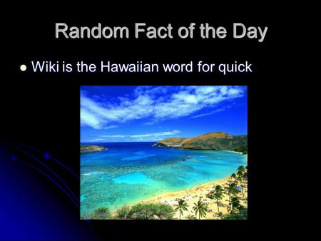 Random Fact of the Day Wiki is the Hawaiian word for quick Wiki is the Hawaiian word for quick.