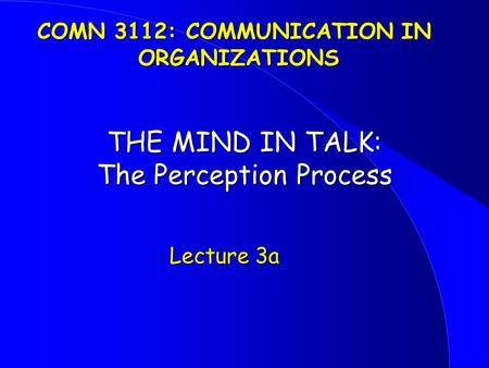 THE MIND IN TALK: The Perception Process Lecture 3a Lecture 3a COMN 3112: COMMUNICATION IN ORGANIZATIONS.