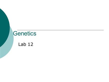 Genetics Lab 12. Genes & Alleles  Gene – Basic unit of heredity. A short sequence of DNA that codes for a polypeptide. Example – the gene that codes.