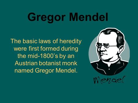 Gregor Mendel The basic laws of heredity were first formed during the mid-1800’s by an Austrian botanist monk named Gregor Mendel.