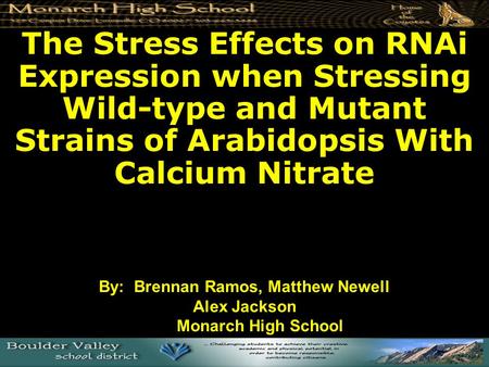 The Stress Effects on RNAi Expression when Stressing Wild-type and Mutant Strains of Arabidopsis With Calcium Nitrate By: Brennan Ramos, Matthew Newell.