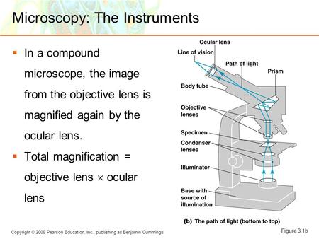Microscopy: The Instruments