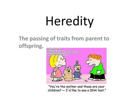 The passing of traits from parent to offspring.
