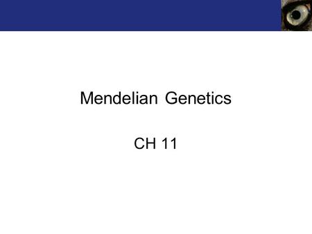 Mendelian Genetics CH 11.