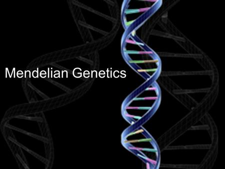 Mendelian Genetics. What is Heredity? The passing on of traits from one generation to the next X Female normal wing Male double wing P- generation F 1.