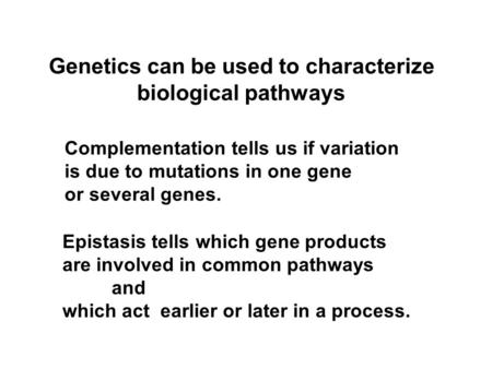 Genetics can be used to characterize biological pathways Epistasis tells which gene products are involved in common pathways and which act earlier or later.
