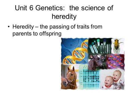 Unit 6 Genetics: the science of heredity