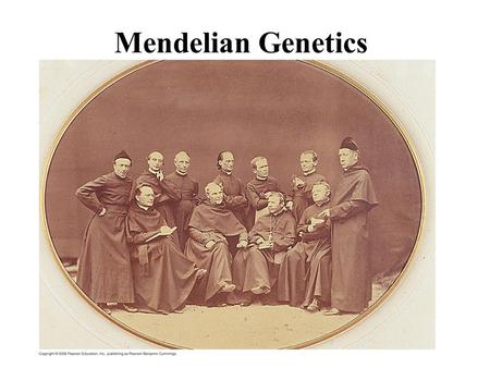 Mendelian Genetics. What Came Before? Blending Inheritance Inheritance of Acquired Characteristics.