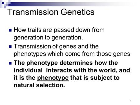 1 Transmission Genetics How traits are passed down from generation to generation. Transmission of genes and the phenotypes which come from those genes.