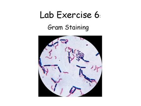 Crystal Gram’s (Primary stain) Gram’s (Primary stain) Gram’s Crystal violet Gram’s iodine Safranin Alcohol.
