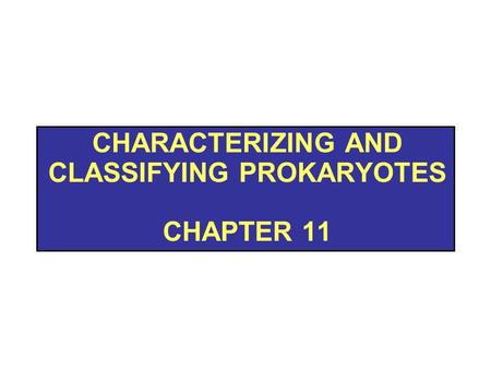 Characterizing and Classifying prokaryotes chapter 11