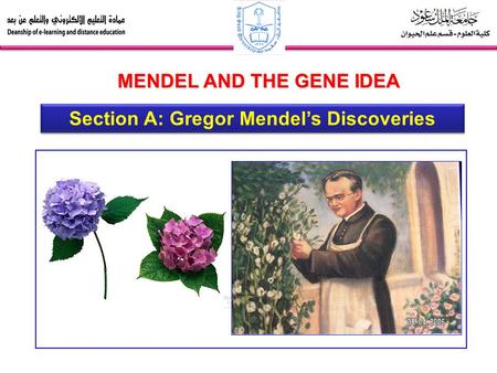 Section A: Gregor Mendel’s Discoveries MENDEL AND THE GENE IDEA.