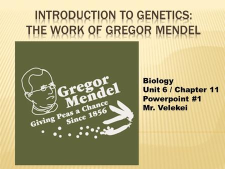 Biology Unit 6 / Chapter 11 Powerpoint #1 Mr. Velekei.