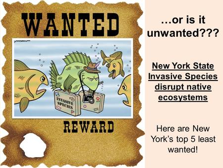 …or is it unwanted??? New York State Invasive Species disrupt native ecosystems Here are New York’s top 5 least wanted!