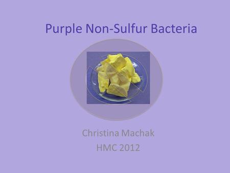 Purple Non-Sulfur Bacteria Christina Machak HMC 2012.