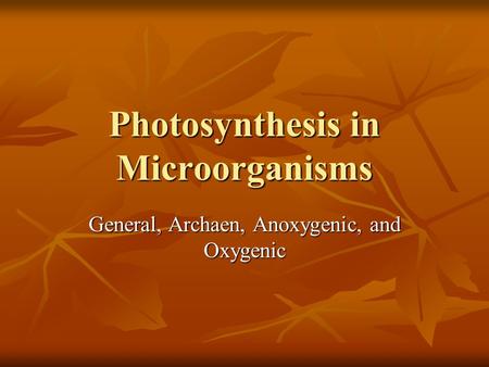 Photosynthesis in Microorganisms