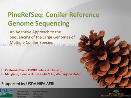 United StatesNational Institute Department ofof Food and AgricultureAgriculture PineRefSeq: Conifer Reference Genome.