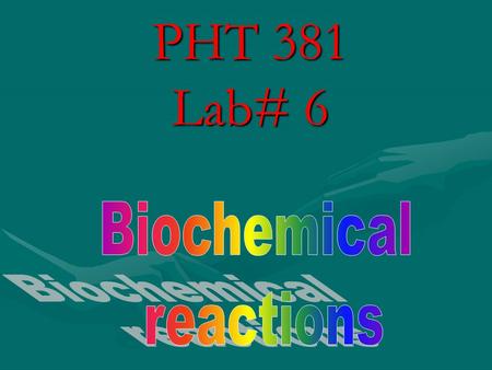 PHT 381 Lab# 6 Biochemical reactions.