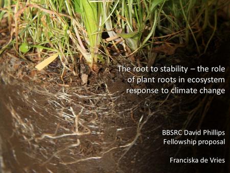 The root to stability – the role of plant roots in ecosystem response to climate change BBSRC David Phillips Fellowship proposal Franciska de Vries.