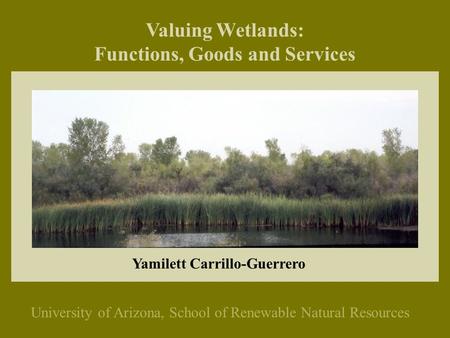Valuing Wetlands: Functions, Goods and Services University of Arizona, School of Renewable Natural Resources Yamilett Carrillo-Guerrero.