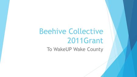 Beehive Collective 2011Grant To WakeUP Wake County.