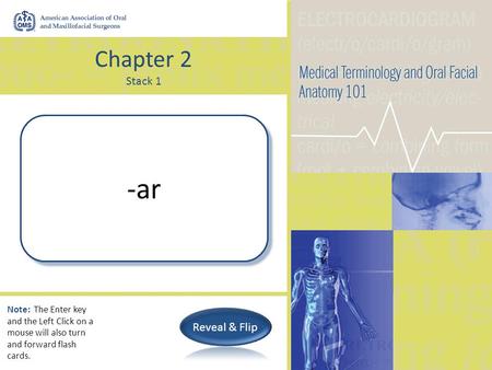Chapter 2 Stack 1 Pertaining to -ar Note: The Enter key and the Left Click on a mouse will also turn and forward flash cards.