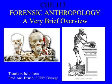 CHE 113 1 FORENSIC ANTHROPOLOGY A Very Brief Overview CHE 113 Thanks to help from Prof. Ann Bunch, SUNY Oswego.