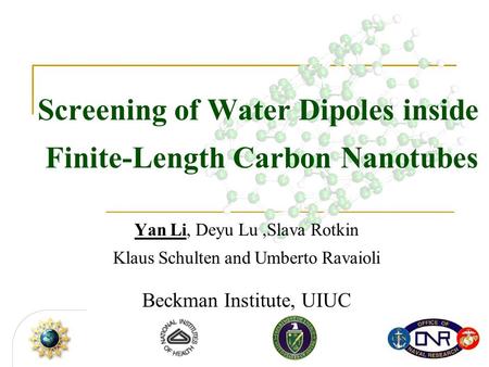 Screening of Water Dipoles inside Finite-Length Carbon Nanotubes Yan Li, Deyu Lu,Slava Rotkin Klaus Schulten and Umberto Ravaioli Beckman Institute, UIUC.