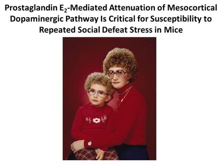 Prostaglandin E 2 -Mediated Attenuation of Mesocortical Dopaminergic Pathway Is Critical for Susceptibility to Repeated Social Defeat Stress in Mice.