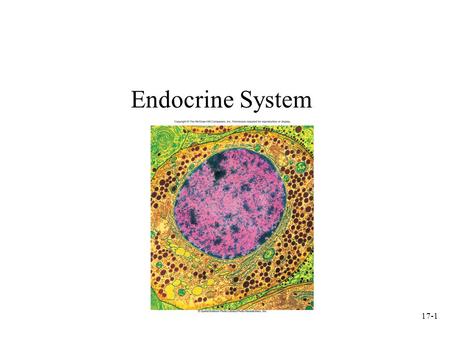17-1 Endocrine System. 17-2 I. Introduction to endocrine system A. Classes of Chemical Messengers –1. Autocrine chemical messengers: released by cells.