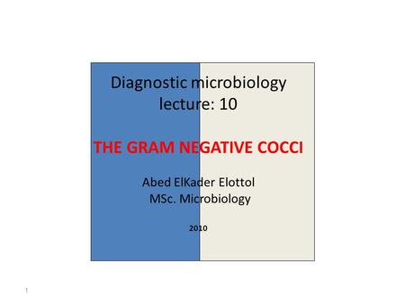 Diagnostic microbiology lecture: 10 THE GRAM NEGATIVE COCCI